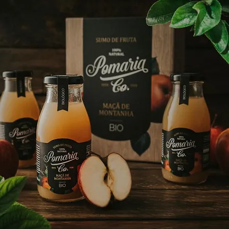 Quinta De Silvares شقة *