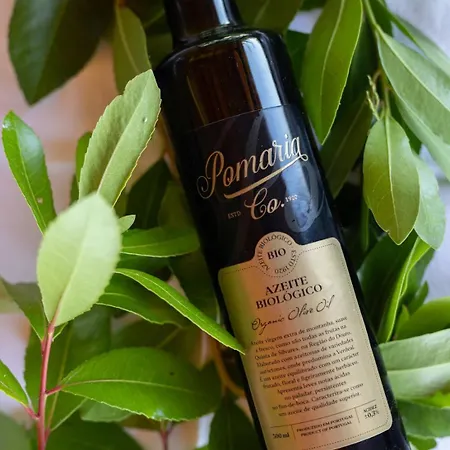 Quinta De Silvares شقة