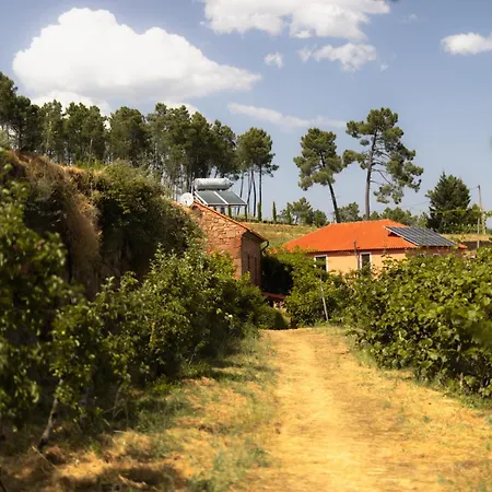 アパート Quinta De Silvares アルママール