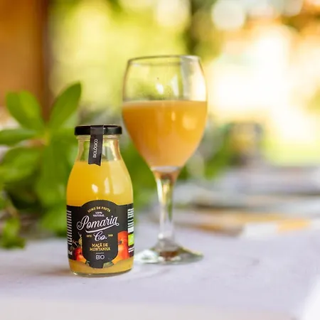 アパート Quinta De Silvares *