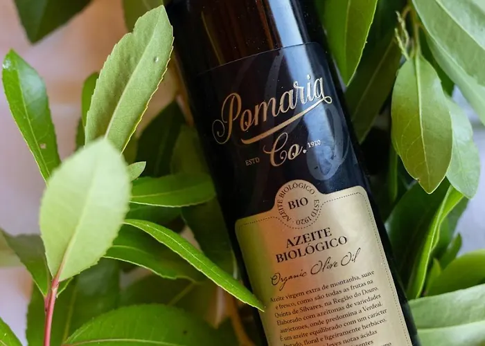 Quinta De Silvares Διαμέρισμα